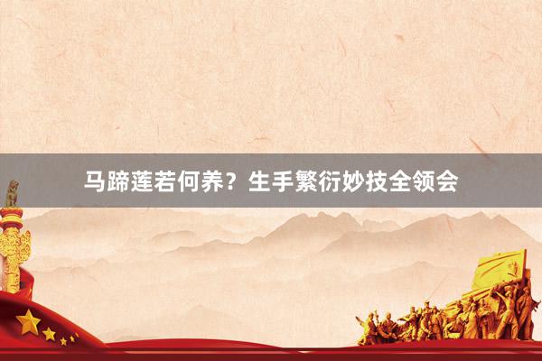 马蹄莲若何养？生手繁衍妙技全领会